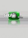 game pic for Golf Pro Contest 2
